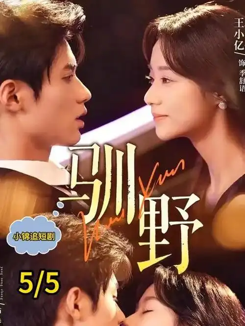 风车动漫p抖音短剧重生九零